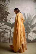 Falak