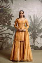 Falak