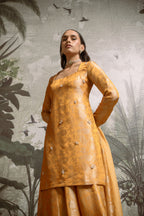 Falak