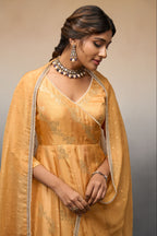 Naina anarkali set