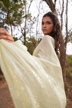 English Daisy Saree Set